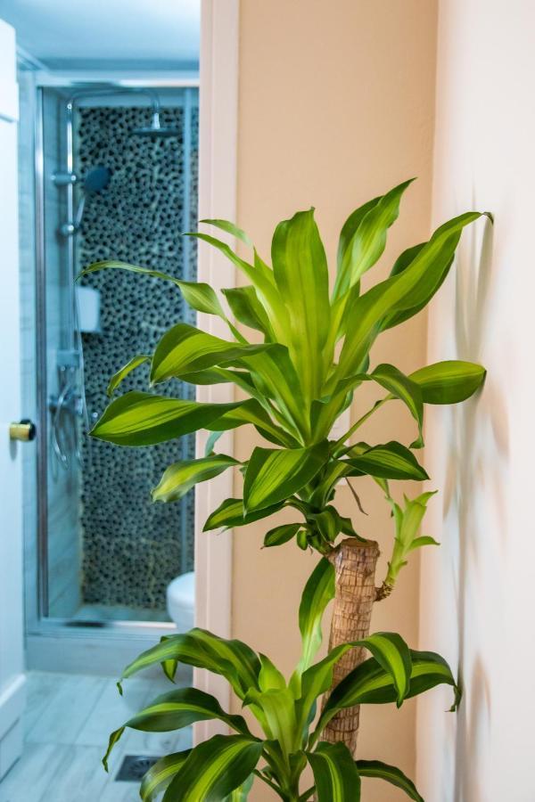 Gorgona Blue Apartments Карпатос Екстериор снимка